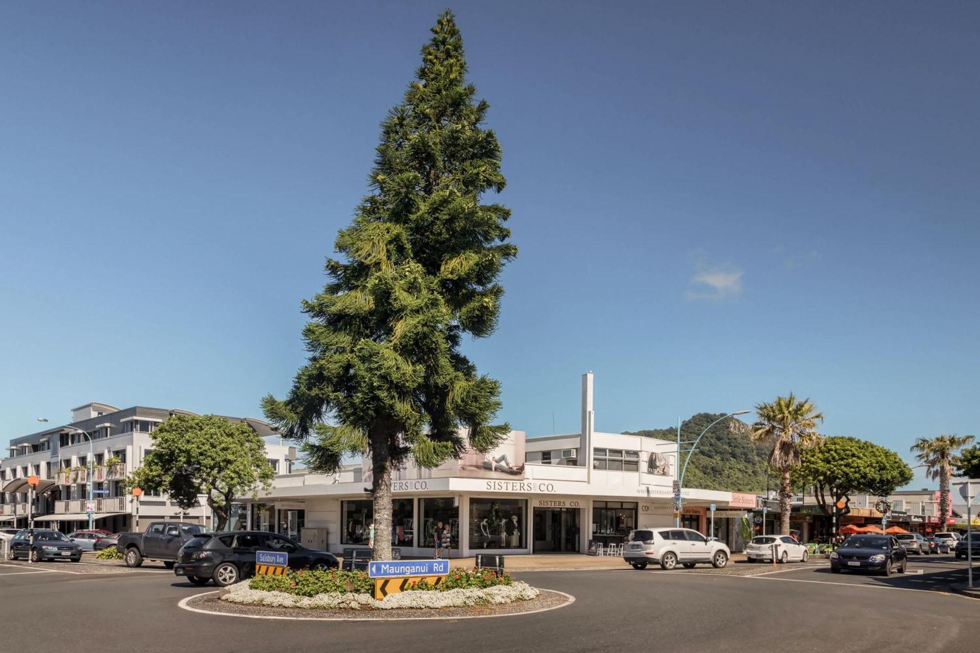 Oceanside Bliss - Absolute Beachfront - Uninterrupted Ocean Views With Pool Mount Maunganui Eksteriør billede